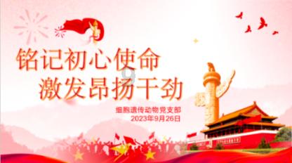 我在超市，看到生粉、淀粉和面粉。请问三种的异同，用处如何？游戏画面